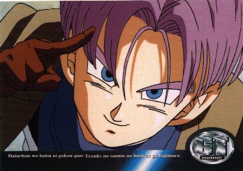 trunks.jpg